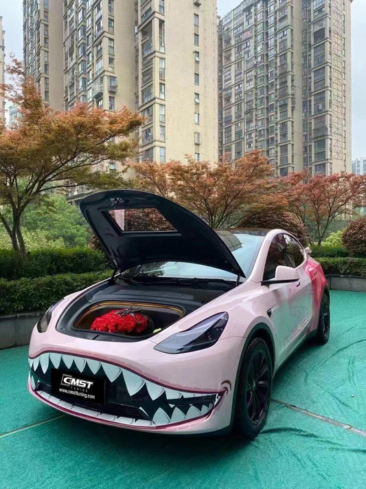 Tesla Model Y Performance AWD Long Range RWD Standard 2020-ON with Aftermarket Parts - V3 Tempered Glass Clearview Style Hood Bonnet Carbon Fiber / FRP from CMST Tuning