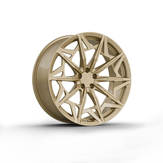 FW1025 - Face Wheels