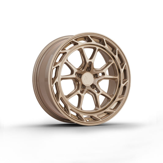 FW-A1041 - Face Wheels