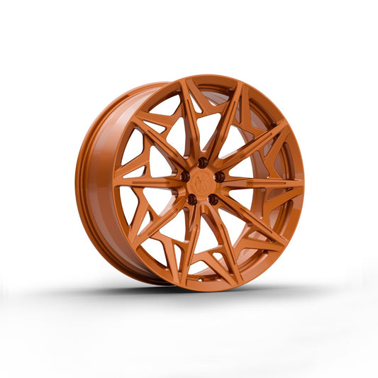 FW1025 - Face Wheels