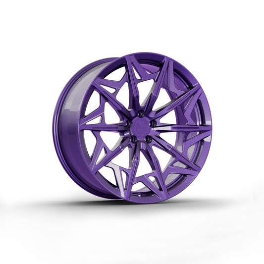 FW1025 - Face Wheels