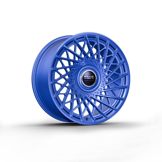FW1029 - Face Wheels