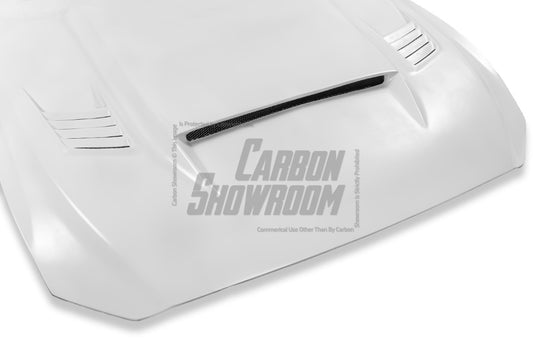 Ford Mustang GT 5.0 V6 3.6 Ecoboost 2.3 S550.1 2015 2016 2017 with Aftermarket Parts - V2 Hood Carbon Fiber/FRP from Aero Republic