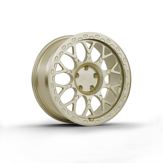 FW-S06 - Face Wheels