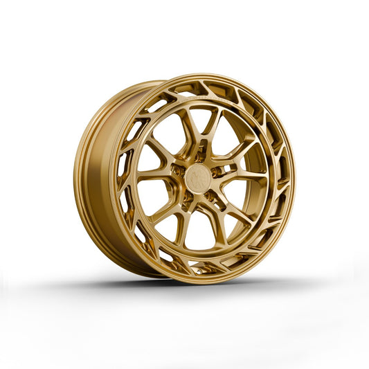 FW-A1041 - Face Wheels
