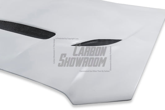 Dodge Charger Base SXT SE R/T SRT8 V6 V8 2011 2012 2013 2014 with Aftermarket Parts - V2 Hood Carbon Fiber/FRP from Aero Republic