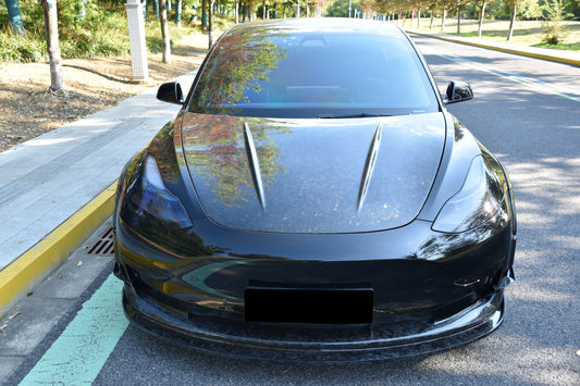 Tesla Model 3 Performance Long Range Standard Base 2017 2018 2019 2020 2021 2022 2023 with Aftermarket Parts - Hood Carbon Fiber / FRP from Aero Republic