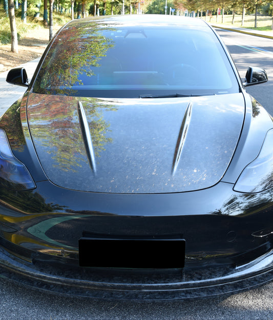 Tesla Model 3 Performance Long Range Standard Base 2017 2018 2019 2020 2021 2022 2023 with Aftermarket Parts - Hood Carbon Fiber / FRP from Aero Republic