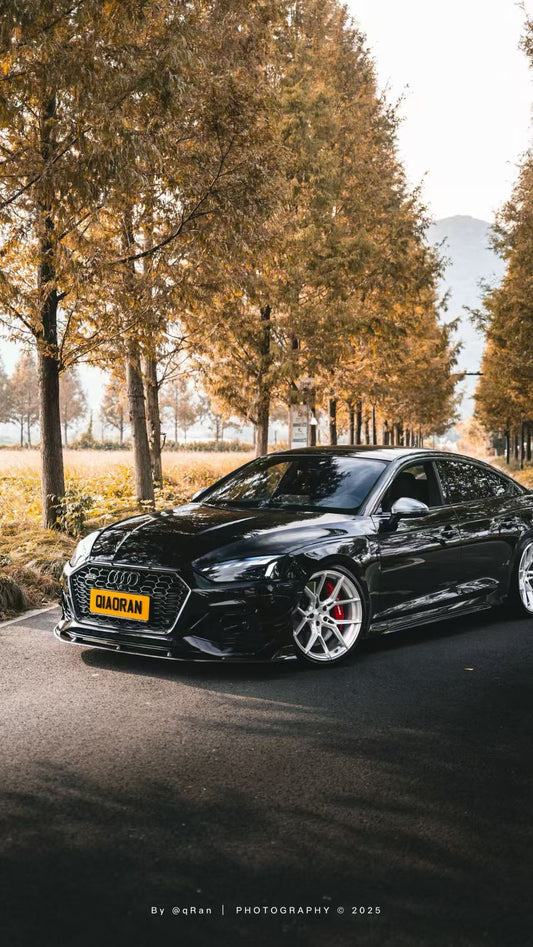 Audi RS5 B9.5 2020 2021 2022 2023 2024 2025 with Aftermarket Parts - AE Style Front Canards Carbon Fiber from ArmorExtend