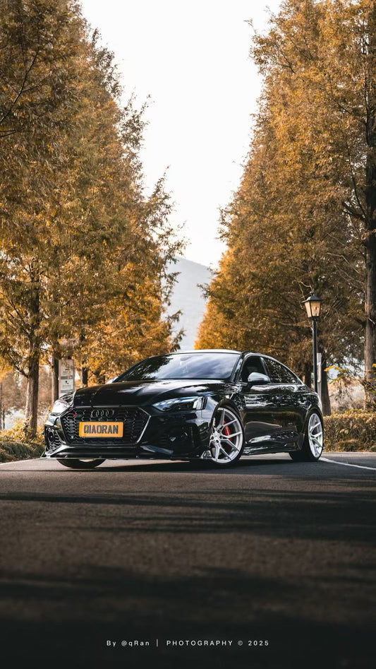 Audi RS5 B9.5 2020 2021 2022 2023 2024 2025 with Aftermarket Parts - AE Style Front Canards Carbon Fiber from ArmorExtend