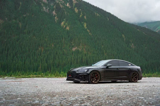 Audi RS5 B9 B9.5 2017 2018 2019 2020 2021 2022 2023 2024 2025 with Aftermarket Parts - AE Style Front Fenders Carbon Fiber from ArmorExtend