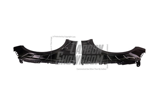Audi RS5 B9 / B9.5 2017 2018 2019 2020 2021 2022 2023 2024 with Aftermarket Parts - AE Style Front Fenders Carbon Fiber from ArmorExtend