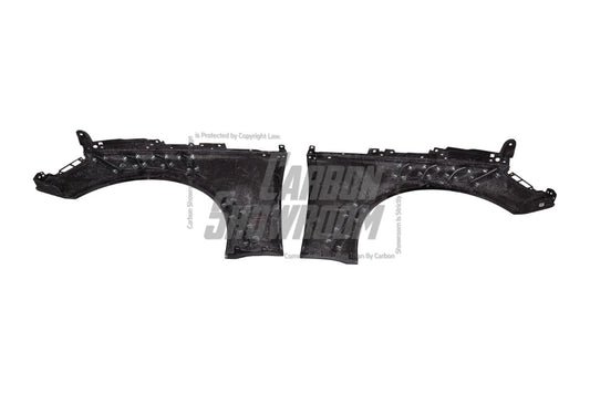 Audi RS5 B9 / B9.5 2017 2018 2019 2020 2021 2022 2023 2024 with Aftermarket Parts - AE Style Front Fenders Carbon Fiber from ArmorExtend