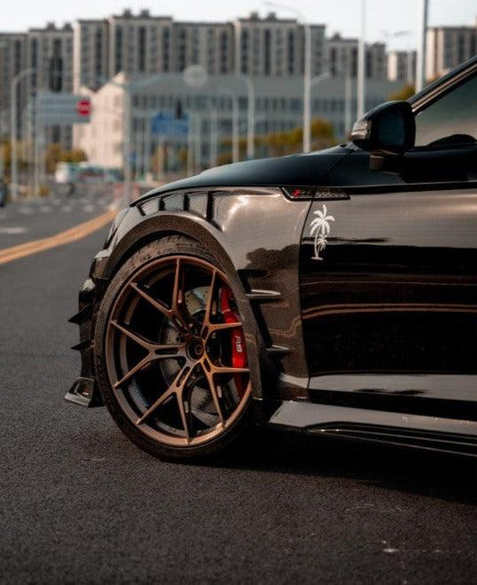Audi RS5 B9 / B9.5 2017 2018 2019 2020 2021 2022 2023 2024 with Aftermarket Parts - AE Style Front Fenders Carbon Fiber from ArmorExtend