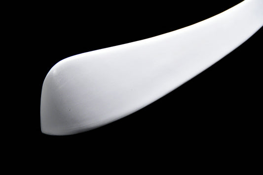 Nissan GTR GTT R34 1999 2000 2001 2002 2003 2004 with Aftermarket Parts - Roof Spoiler Carbon Fiber / FRP from EPR USA
