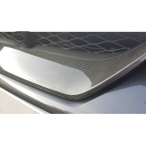 Nissan GTR R35 EBA 2017 2018 2019 2020 2021 2022 2023 with Aftermarket Parts - Front Grille Cover Fiber from EPR USA