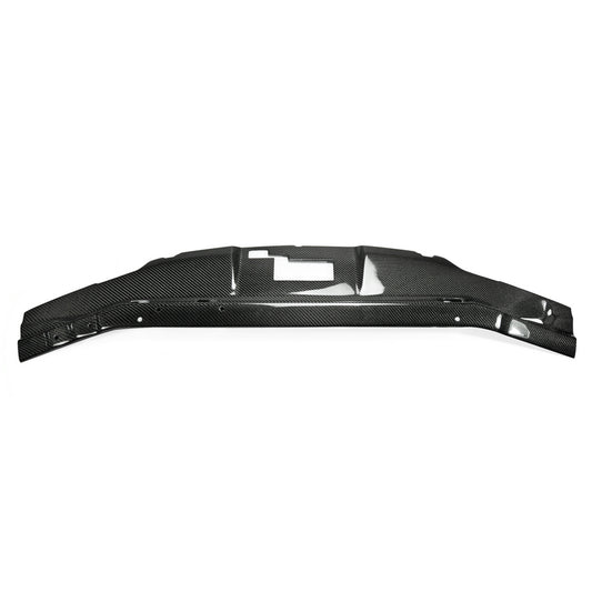 Nissan R33 Skyline GTR 1995 1996 1997 1998 with Aftermarket Parts - Defend Cooling Panel Carbon Fiber / FRP from EPR USA