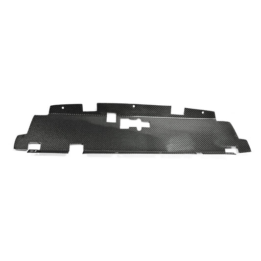 Nissan R34 ER34 GTT 1999 2000 2001 2002 2003 2004 with Aftermarket Parts - Cooling Slam Panel Carbon Fiber from EPR USA