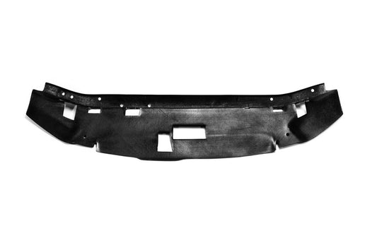 Nissan R34 GTR Base Nismo Z Tune S Tune R Tune V-Spec Tune Nur 1999 2000 2001 2002 2003 2004 with Aftermarket Parts - Garage D Style Cooling Panel Carbon Fiber / FRP from EPR USA