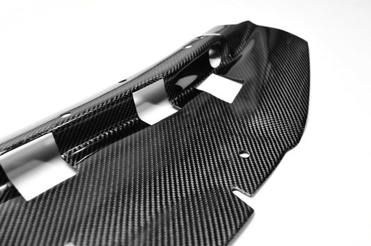 Nissan R34 GTR Base Nismo Z Tune S Tune R Tune V-Spec Tune Nur 1999 2000 2001 2002 2003 2004 with Aftermarket Parts - Garage D Style Cooling Panel Carbon Fiber / FRP from EPR USA