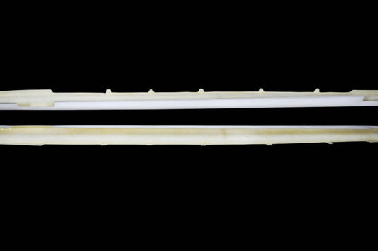 Nissan R34 GTR Base 1999 2000 2001 2002 2003 2004 with Aftermarket Parts - Nismo Style Side Skirts Carbon Fiber / FRP from EPR USA