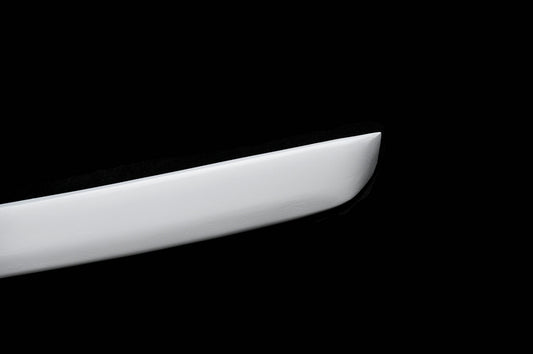 Nissan R34 GTT 1999 2000 2001 2002 2003 2004 with Aftermarket Parts - URS Style Bonnet Lip Carbon Fiber / FRP from EPR USA