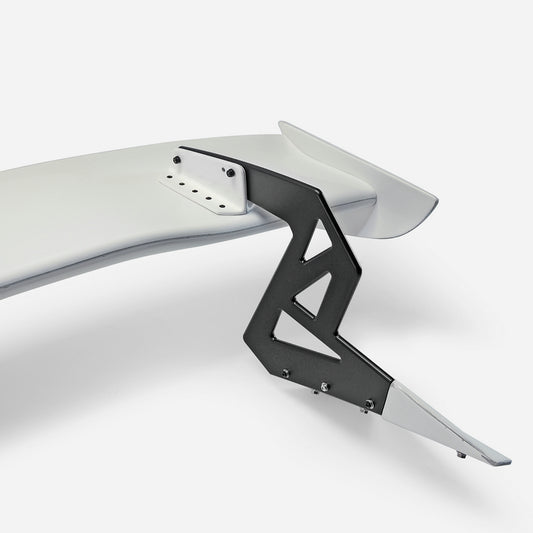 Honda Civic Type-R FK8 2017 2018 2019 2020 2021 & Civic 10th Gen FK7 2017 2018 2019 2020 2021 with Aftermarket Parts - SPN Style Rear GT Spoiler Carbon Fiber / FRP from EPR USA