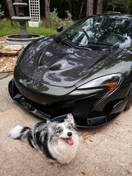 McLaren 570GT 2017 2018 2019 & 540C 570S 2016 2017 2018 2019 2020 & 600LT 2019 2020 & 620R 2021 & 675LT 650S 2015 2016 & 720S 2018 2019 2020 2021 2022 2023 & 750S 2024-ON & 765LT 2021 2022 & Artura 2023-ON & Elva 2021 & GT 2020 2021 2022 2023 & GTS 2025-ON & MP4-12C 2012 2013 2014 & P1 2013 2014 2015 & Senna 2019 2020 with Aftermarket Parts - Emblem Badge Carbon Fiber