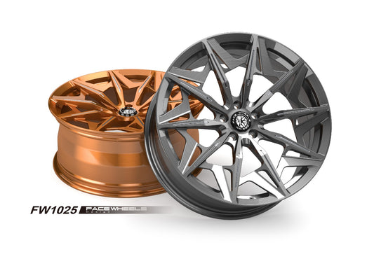 FW1025 - Face Wheels