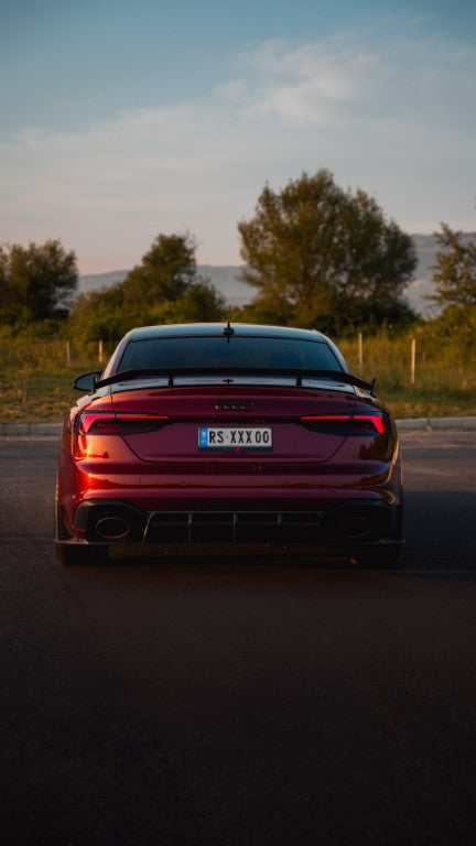 Future Design Carbon Fiber REAR DIFFUSER & REAR CANARDS - "Blaze kit" for Audi RS5 B9 2017-2019 - Performance SpeedShop