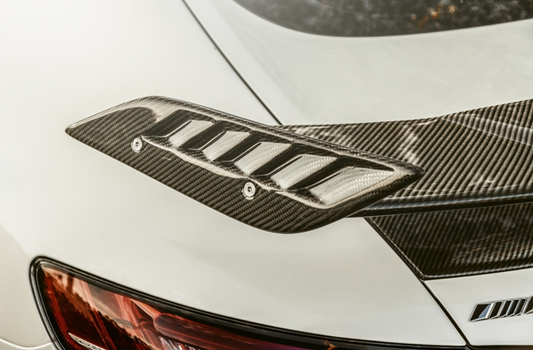Mercedes Benz AMG GT GTS GTC C190 2015 2016 2017 2018 2019 2020 2021 with Aftermarket Parts - RT Style Rear Wing Carbon Fiber from Aero Republic