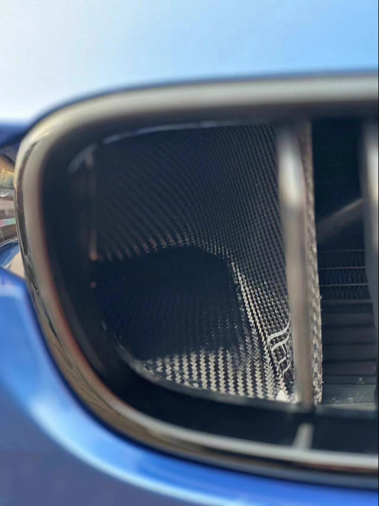 Geex Village BMW 3 Series M Sport 340i 335i F30 F31 Front Kidney Grill Snorkel Insert Carbon Fiber
