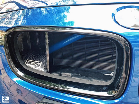 Geex Village BMW 3 Series M Sport 340i 335i F30 F31 Front Kidney Grill Snorkel Insert Carbon Fiber