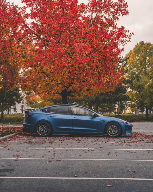 Tesla Model 3 Performance Long Range Standard Base 2017 2018 2019 2020 2021 2022 2023 with Aftermarket Parts - Crypton Side Skirts Carbon Fiber / FRP from Robot Craftsman