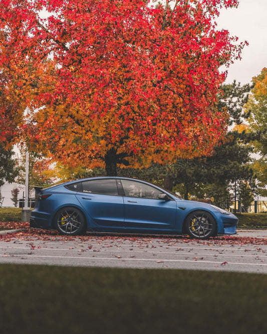 Tesla Model 3 Performance Long Range Standard Base 2017 2018 2019 2020 2021 2022 2023 with Aftermarket Parts - Crypton Side Skirts Carbon Fiber / FRP from Robot Craftsman