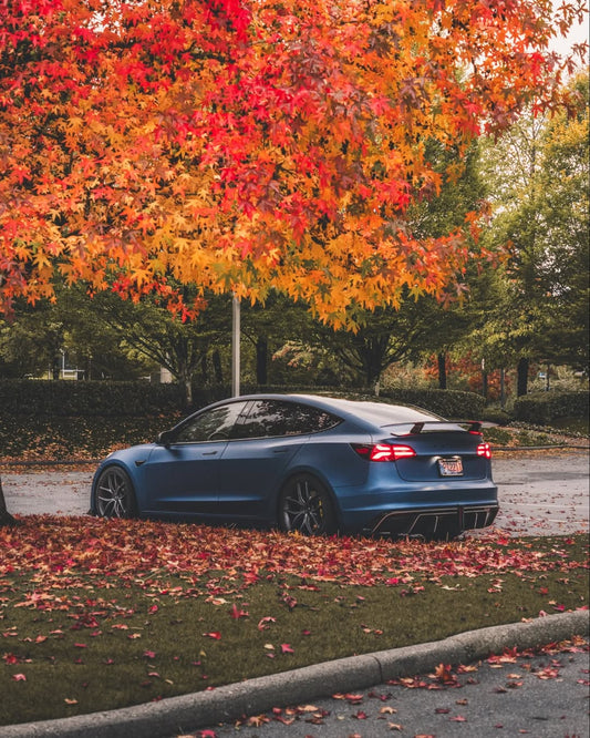 Tesla Model 3 Performance Long Range Standard Base 2017 2018 2019 2020 2021 2022 2023 with Aftermarket Parts - Crypton Rear Spoiler Wing Carbon Fiber / FRP from Robot Craftsman