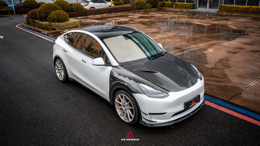Tesla Model Y Performance AWD Long Range RWD Standard 2020 2021 2022 2023 2024 2025 with Aftermarket Parts - ART Front Fenders Carbon Fiber from ArmorExtend