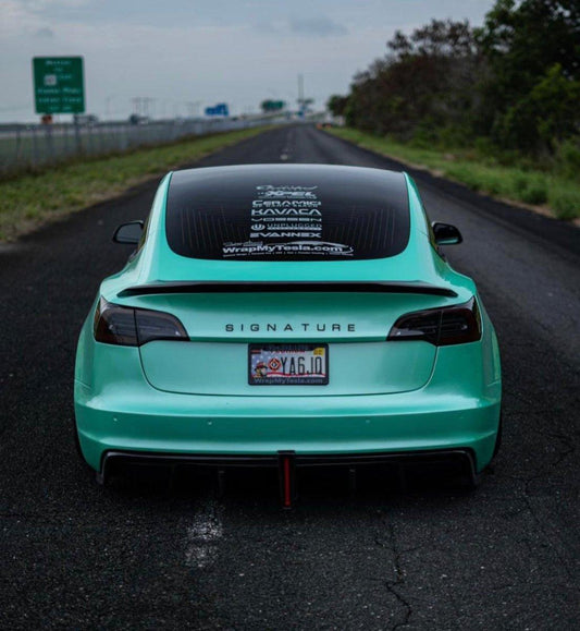 Tesla Model 3 Performance Long Range Standard Base 2017 2018 2019 2020 2021 2022 2023 with Aftermarket Parts - Crypton Rear Bumper & Diffuser Carbon Fiber / FRP from Robot Craftsman
