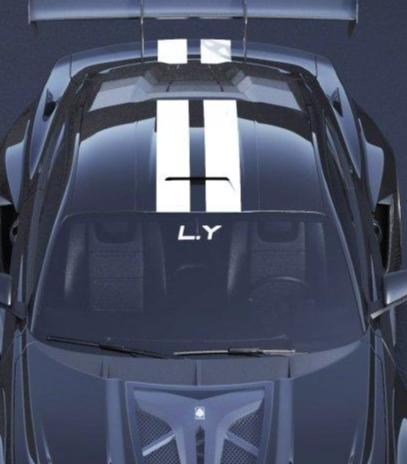 Mustang Ecoboost V6 GT March1 Bullitt S550.1 S550.2 2015 2016 2017 2018 2019 2020 2021 2022 2023 with Aftermarket Parts - "DAWN & DUSK" Roof Scoop Carbon Fiber / FRP from Robot Craftsman