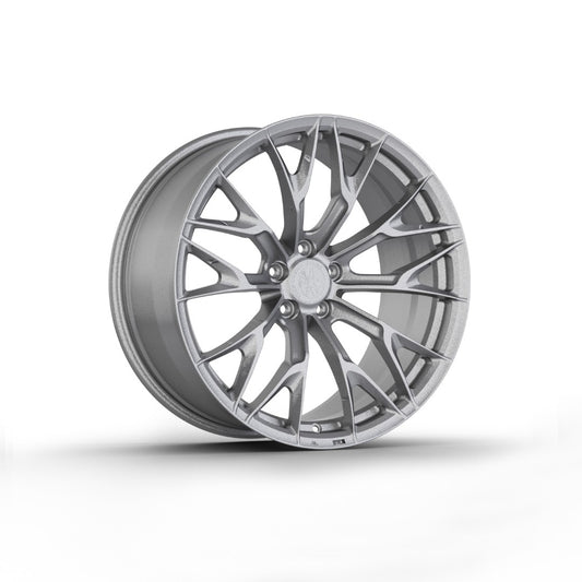 FW176 - Face Wheels