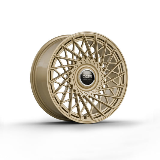FW1029 - Face Wheels