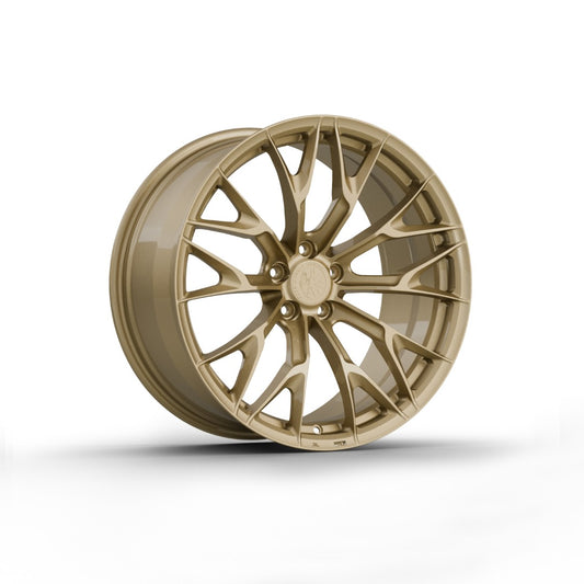 FW176 - Face Wheels