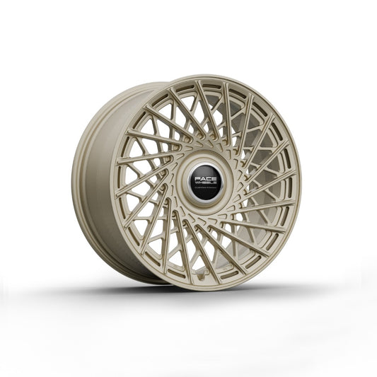 FW1029 - Face Wheels