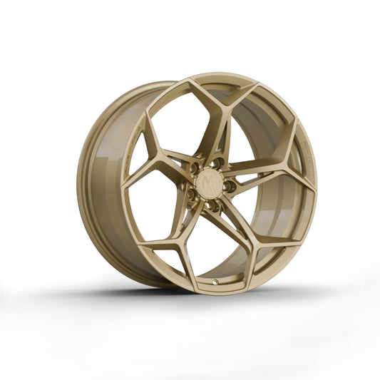 FW1008 - Face Wheels