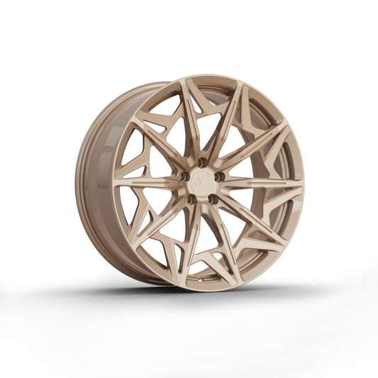 FW1025 - Face Wheels