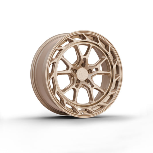 FW-A1041 - Face Wheels