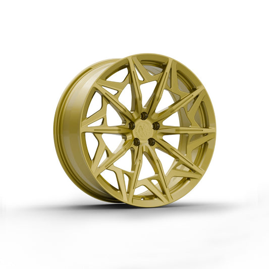 FW1025 - Face Wheels