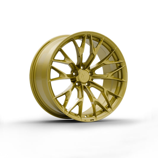 FW176 - Face Wheels