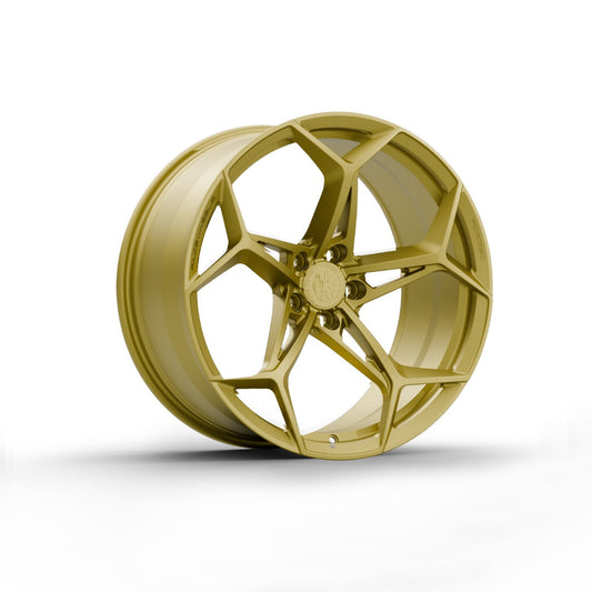 FW1008 - Face Wheels