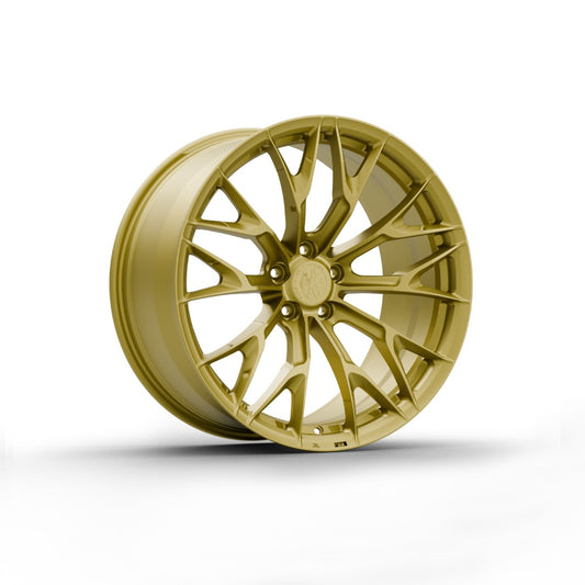 FW176 - Face Wheels